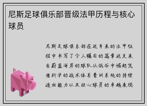 尼斯足球俱乐部晋级法甲历程与核心球员