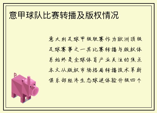 意甲球队比赛转播及版权情况